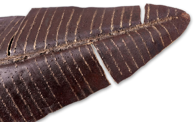 Bananenblad Metaal 3D Wandarmatuur