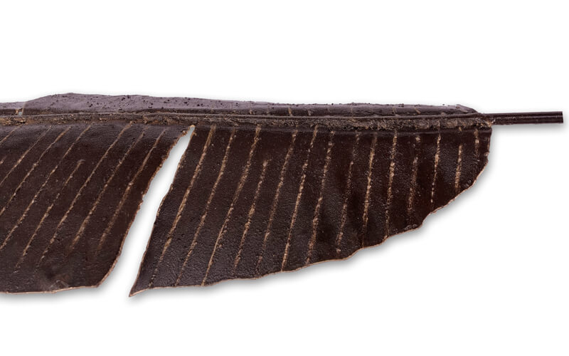 Bananenblad Metaal 3D Wandarmatuur
