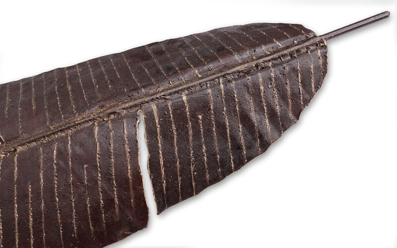 Bananenblad Metaal 3D Wandarmatuur