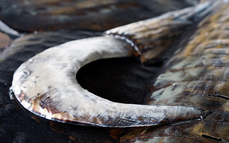 Metalen Schilderij 3D Olifant Gave Specials