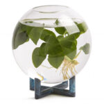 Bloemenvaas ORB van Klong small | Kadeloo