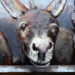 Metalen Schilderij 3D Ezels Gave Specials | Kadeloo