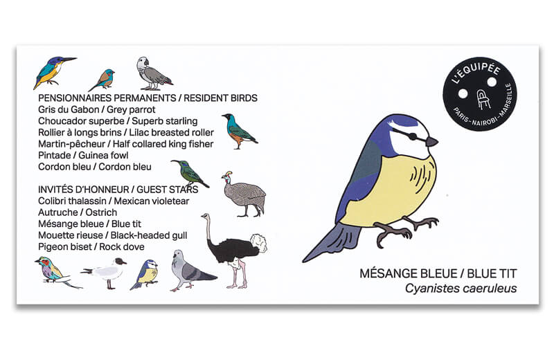 Houten vogel miniatuur Pimpelmees