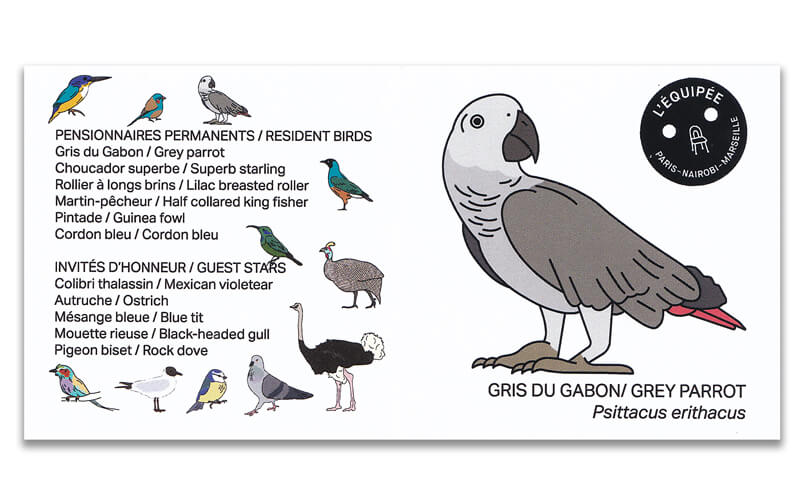 Houten vogel miniatuur Grijze-roodstaart-papegaai
