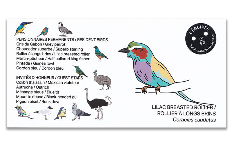 Houten vogel miniatuur Vorkstaartscharrelaar