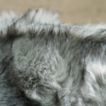Plaid Cocooning Wolf Gris | Kadeloo
