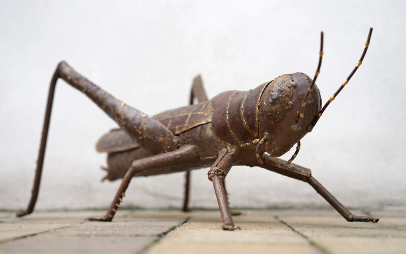 Metalen Grote Sprinkhaan Tuindecoratie 72 x 36 cm