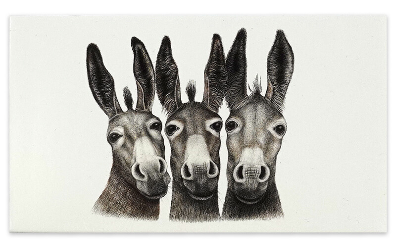 Luciferdoos “Amigos” Ezeltjes